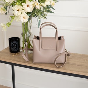 Pale Rose Genuine Leather Mini Satchel Bag - Crossbody or Shoulder Strap (Comes with 2) - Minimal & Modern (USA Seller) B21070009-01