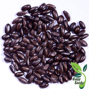 EasySeeds™ Custard Apple, Sweet Apple, Sugar Apple, Sweetsop, Netted Custard Apple, Annona Reticulata,Bull&#39;s heart, Sitaphal Seeds