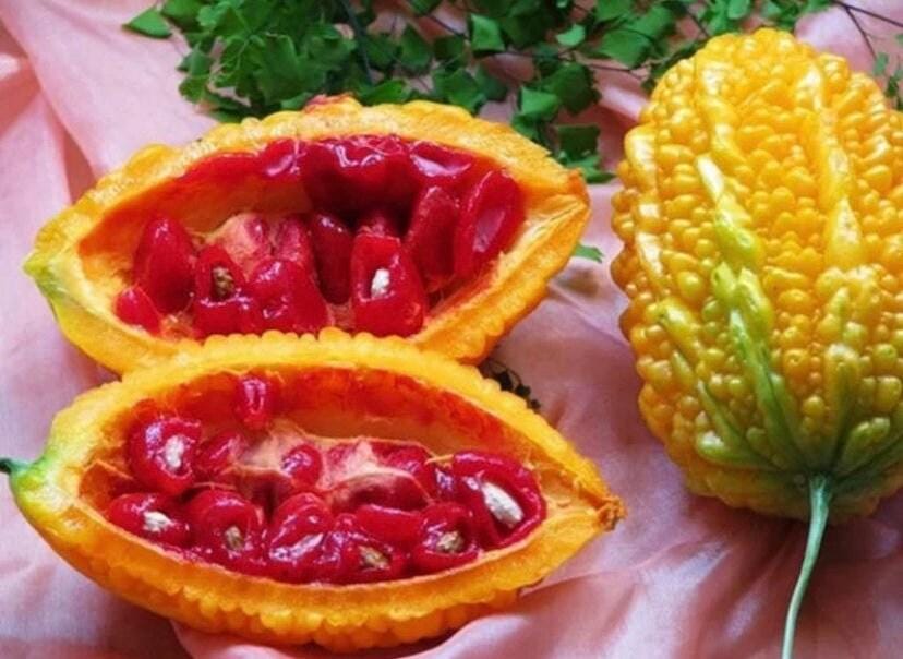 Momordica charantia (balsam apple,bitter melon), 20 seeds cost is 5 usd, shipping cost is 10 usd, phyto certificate cost is 12 usd.