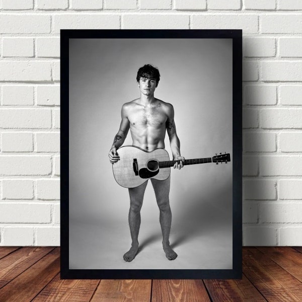 Shawn Mendes Music Poster Canvas Art Wall Home Decor (No Frame)