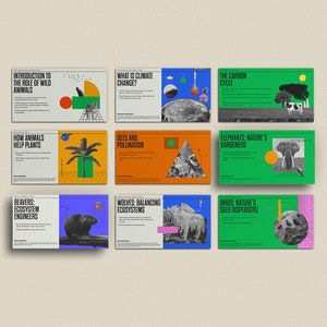 Climate Change, Wild Animals Education, Classroom Slides, Environmental Science Lesson, Canva Template, Worksheets for Elementary Students