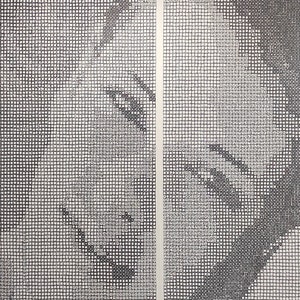 Tiffany Thompson - Handgemaakt Portret - Pop Art Schilderij - 440 x 248 cm