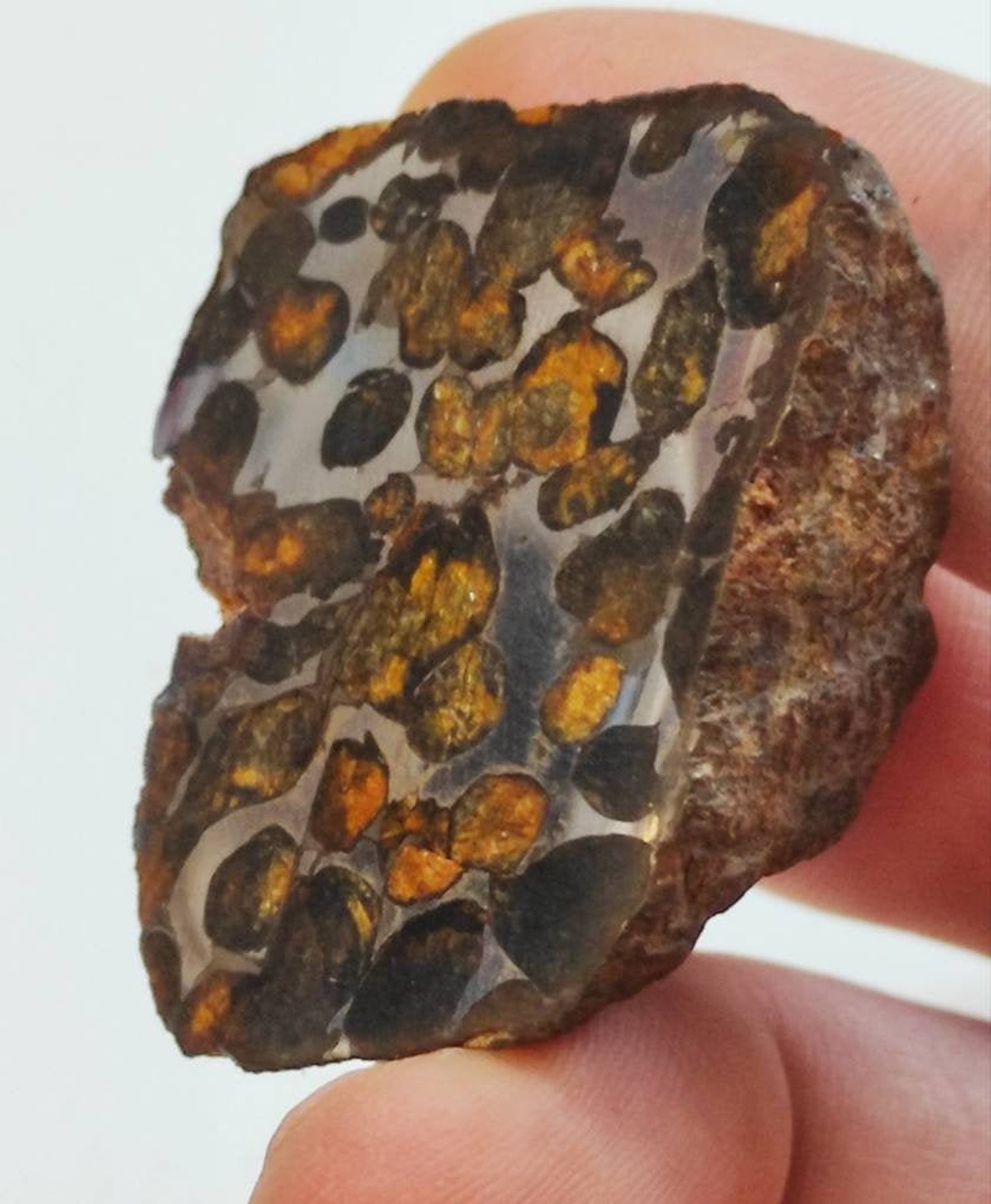 Sericho Pallasite Meteorite End Cut 54.4 g 4.5 x 4.5 x 2.0 | Etsy