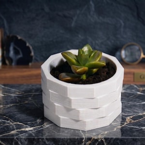 May include: A white, geometric planter with a succulent plant. The planter has a stacked brick design and sits on a marble surface. The succulent has green and yellow leaves. The background includes decorative items and a magnifying glass.
