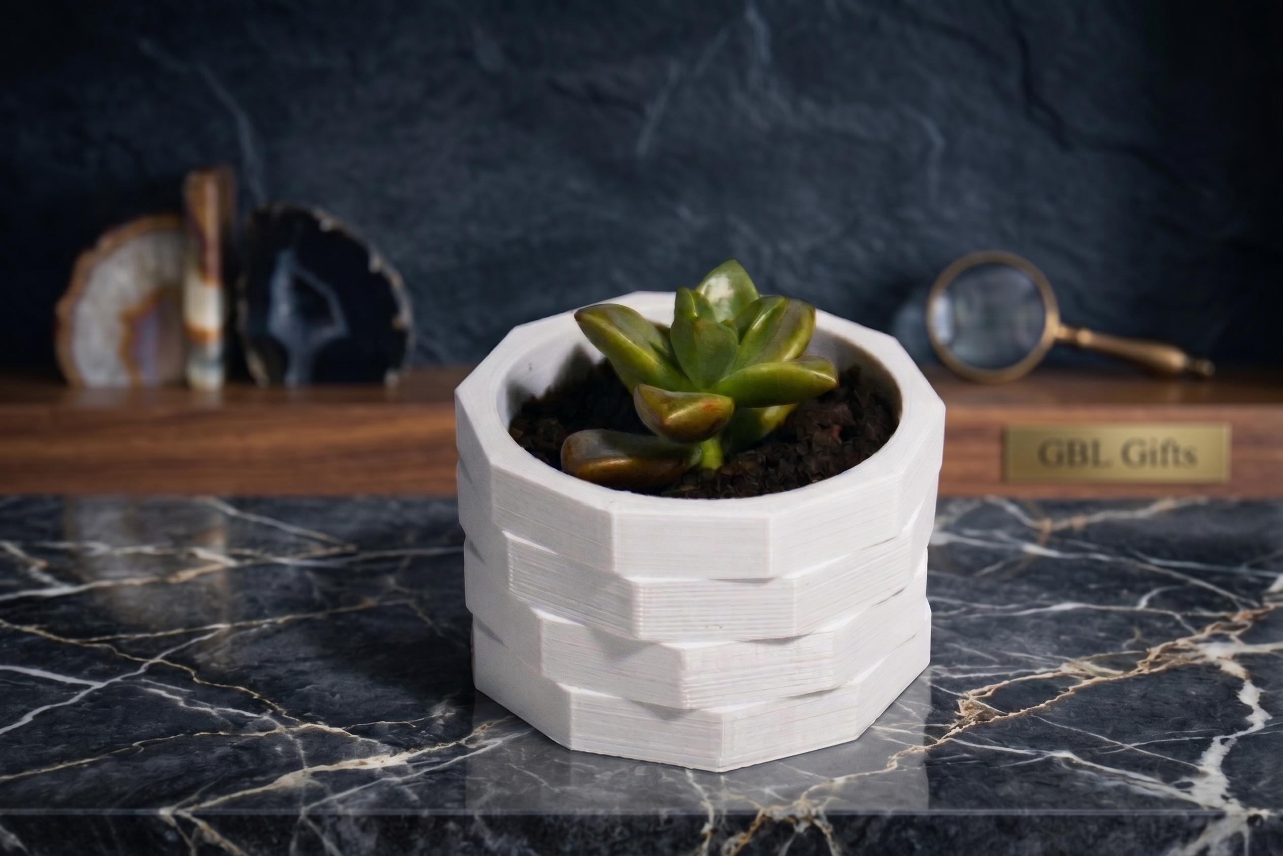 Modern Desk Succulent Planter