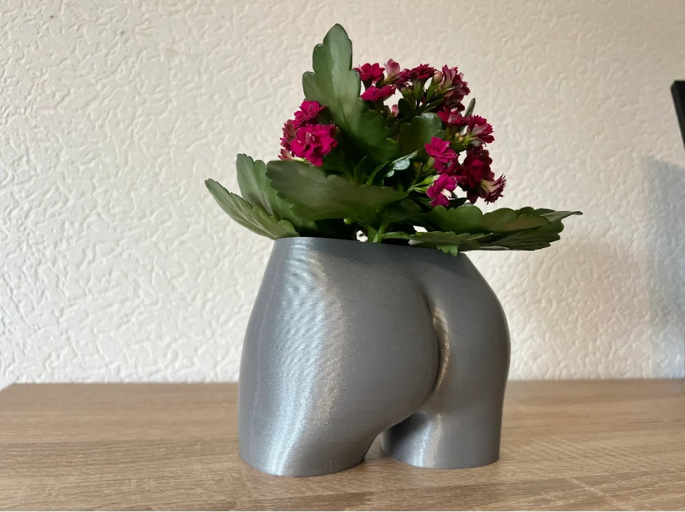 Sexy Butt Planter - Cute Succulent Planters
