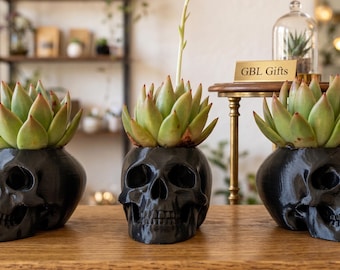 May include: Three black skull-shaped planters with green succulents. The planters are arranged on a wooden surface. The succulents have green leaves with red tips. The background includes a small table with a sign that reads "GBL Gifts".