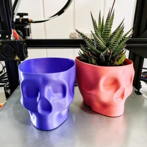May include: Two 3D printed skull-shaped planters, one is purple and the other is pink. A succulent plant is growing in the pink planter.