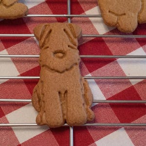 May include: A brown, dog-shaped cookie sits on a metal cooling rack. The cookie is detailed with facial features and body contours. The background features a red and white checkered pattern.