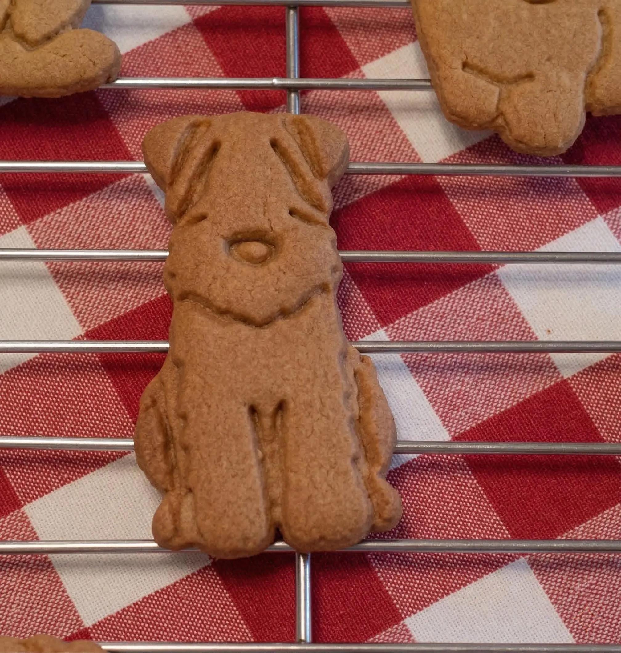 Wheaten Terrier Puppy Cookie Cutter - Dog Cookie Cutters