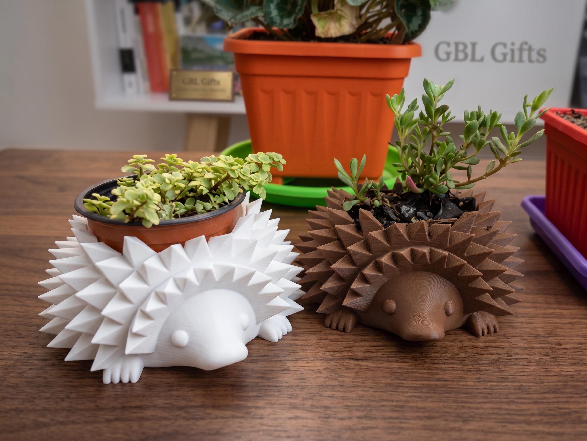 Hedgehog Planter, Cute Succulent Planter