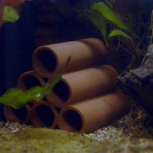 Breeding tubes. Ideal for Shrimp and Fry. Provides a save environment and promotes breeding. Aquarium habitat tubes for shrimp or fish