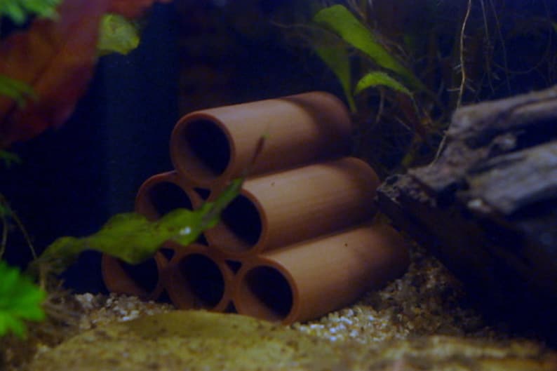 Pode incluir: Um conjunto de seis tubos de cer&acirc;mica de cor terracota com bordas arredondadas, projetados para uso em um aqu&aacute;rio ou tanque de peixes.
