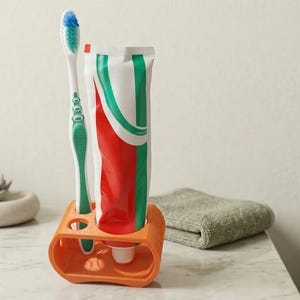 Flower Toothbrush and Toothpaste Holder