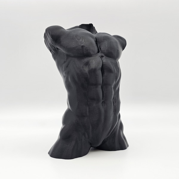 Muscular Man Bodybuilder Bust - Any Color!