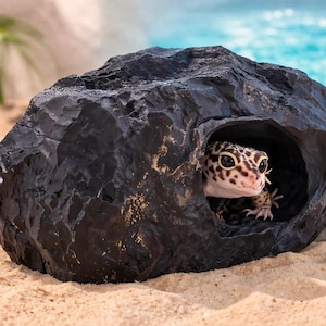 Reptile Cave With Removable Top - Pet Snakes Lizards Bearded Dragon Python Crested Gecko Veiled Chameleon Leopard Corn Snake