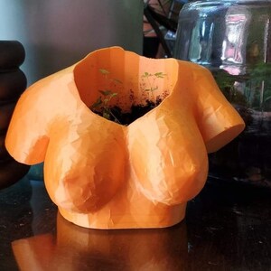 May include: A bright orange, 3D-printed planter shaped like a human torso. The planter features a low-cut neckline opening at the top, which contains dark potting soil and small green plant sprouts. The surface has a visible, faceted geometric texture.