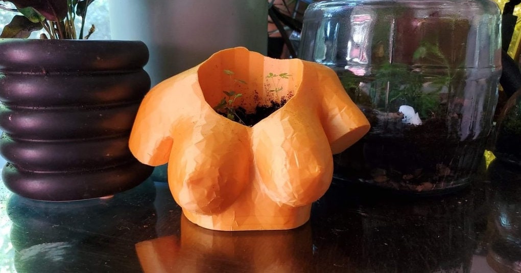 Torso Woman Figure Planter | Cute Succulent Planters