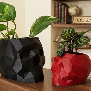 Geometric Skull Planter Pot With Drainage