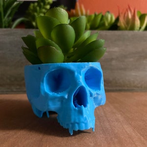 May include: A bright blue 3D-printed skull-shaped planter containing a small green artificial succulent. The skull features hollow eye sockets and a nasal cavity, with the plant emerging from the top of the cranium, creating a distinct contrast.