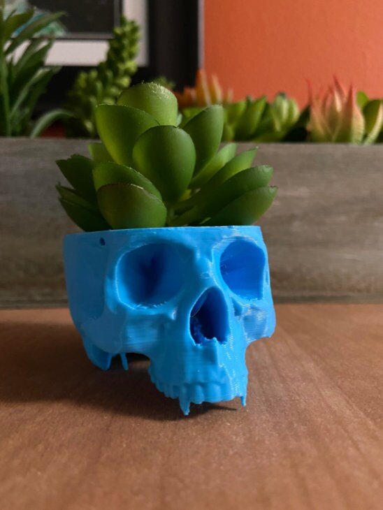 Hanging Vampire Skull Planter