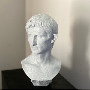 May include: A gray bust of a classical figure, likely a Roman emperor, with detailed facial features and short, textured hair. The sculpture is set against a neutral background, highlighting the intricate details of the artwork.