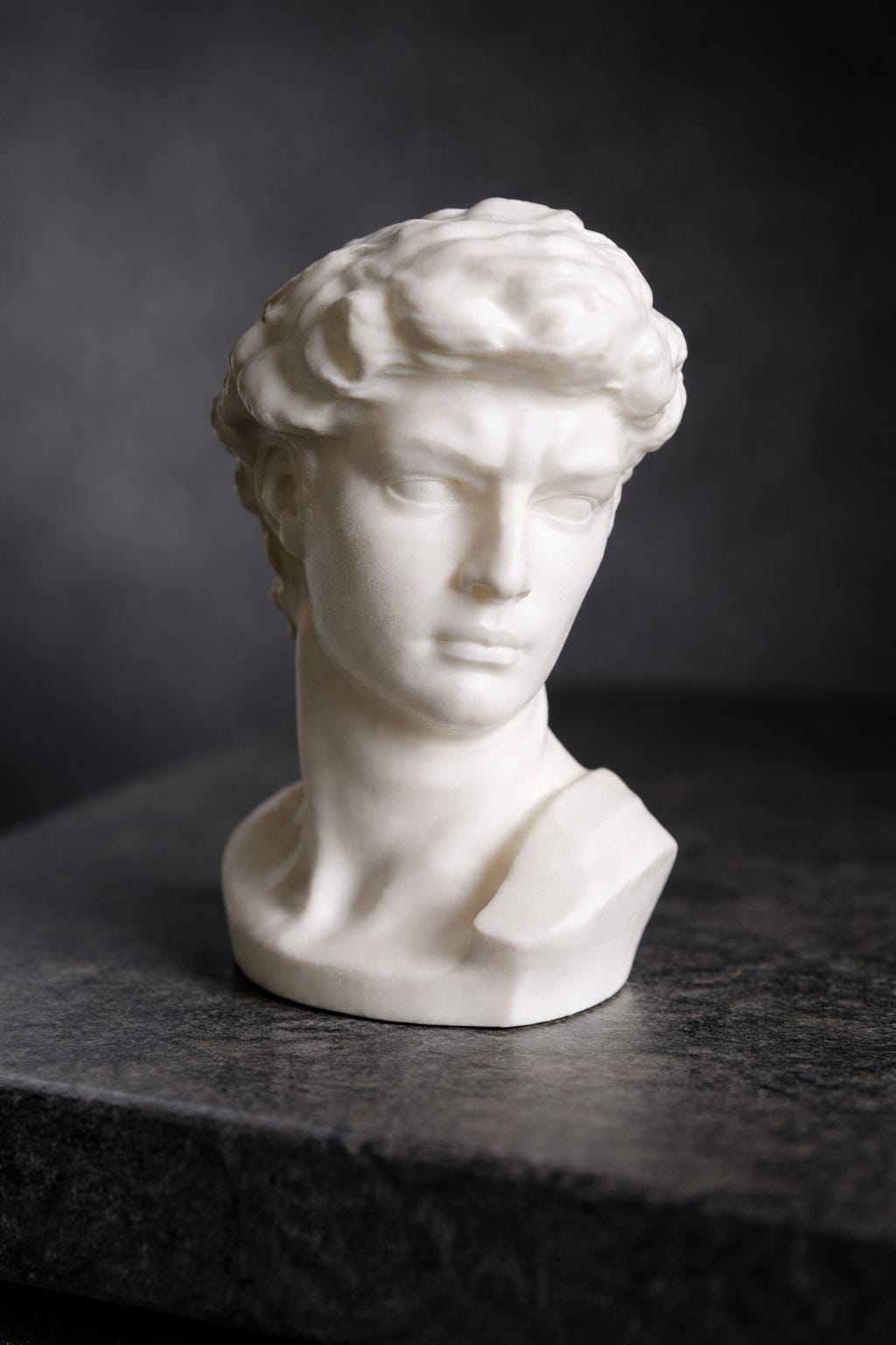 Statue of David Head - Any Color!