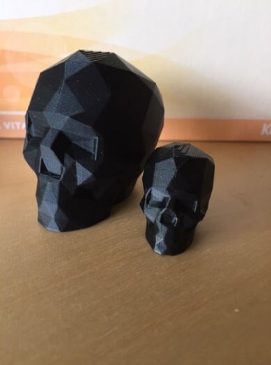 Abstract Low Poly Geometric Skull