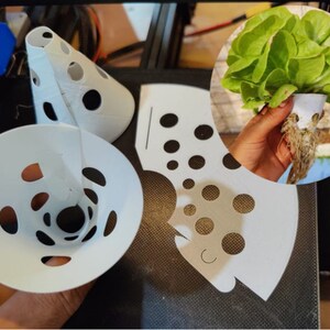 May include: White, cone-shaped 3D-printed hydroponic planters with circular openings. A close-up shows a hydroponically grown lettuce plant with visible roots. The planters are designed for soilless gardening.