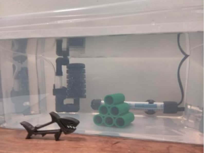 Pode incluir: Uma pequena figura de tubar&atilde;o de pl&aacute;stico preto fica em frente a um tanque de pl&aacute;stico transparente com um filtro verde, um filtro preto e um aquecedor. O tanque est&aacute; cheio de &aacute;gua.