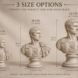 K&ouml;nnte beinhalten: Drei beige B&uuml;sten eines r&ouml;mischen Kaisers in verschiedenen Gr&ouml;&szlig;en. Der Text lautet 3 SIZE OPTIONS, 11 CM 4.3 INCH, 18 CM 7.1 INCH, 22 CM 8.7 INCH. Die B&uuml;sten zeigen detaillierte R&uuml;stungen und drapierten Stoff auf einem Sockel mit Ma&szlig;angaben.