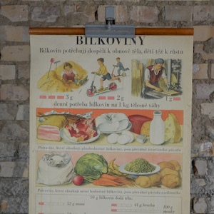 Protéines: original antique des années 1950 Affiche éducative tchèque tableau mural de l’école milieu du siècle illustration d’enfant vintage imprimé cuisine nutrition