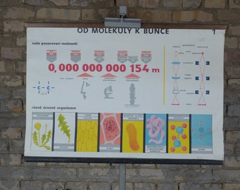 Molecules, Atoms, Microscope: original vintage 1960s Czech educational poster school wall chart scientific print science Ångström physics