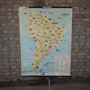 Animaux sauvages d’Amérique centrale et d’Amérique du Sud: original vintage des années 1960 Affiche éducative allemande carte murale de l’école rouler vers le bas faune faune Brésil