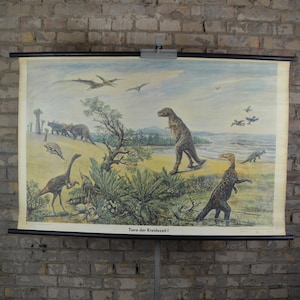 Kreidezeit-Dinosaurier: Originales deutsches Lehrplakat aus den 1950er Jahren, Schultafel, antiker Druck, Naturgeschichte, Fossilien, Triceratops