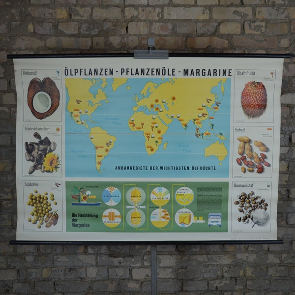 Plant Oils & Fats, Map: original vintage German 1950s educational poster school wall chart print fat butter palm coconut sesame peanut soy