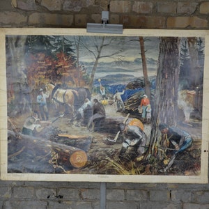 Boscaioli nella foresta: originale vintage 1960s Poster educativo svizzero scuola grafico murale legno legno foresta alberi metà secolo stampa