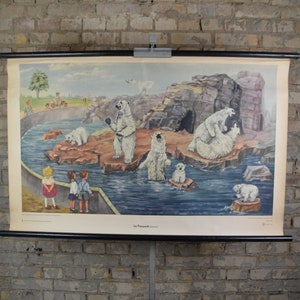 Orsi polari allo zoo: poster educativo originale vintage degli anni '50 della scuola elementare della Germania dell'Est, illustrazione MCM di Hertha Peuse