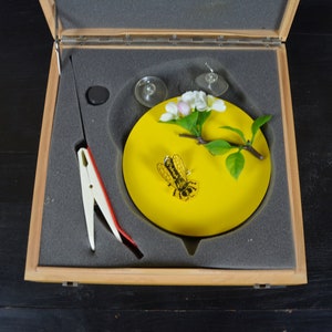 Waggle Dance, Honigbiene Kommunikation: original Vintage 1980er Jahre Lernexperiment Kit Zoologie Modell Klassenzimmer Sehhilfe Ethologie Biologie