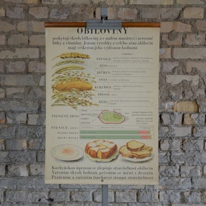 Céréales, céréales, nutrition: original antique des années 1950 Affiche éducative tchèque carte murale de l’école milieu du siècle illustration imprimer gâteau de blé panifiable