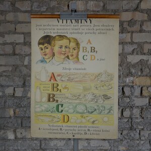 Vitamines: original antique des années 1950 Affiche éducative tchèque tableau mural de l’école milieu du siècle illustration d’enfant vintage impression nutrition cuisine