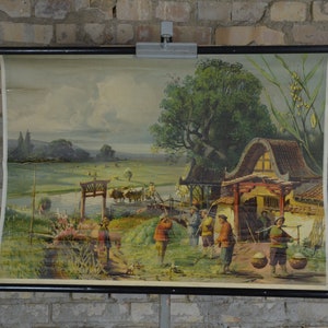Reisernte in Ostasien, China: original antik 1890er Jahre Lehrposter Schule Wandkarte Lithografie Pagode botanischer Druck