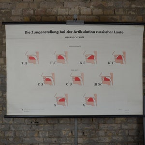 Positions de la langue en phonétique, langue : rare affiche éducative originale allemande des années 1950, tableau scolaire, impression anatomique, anatomie russe