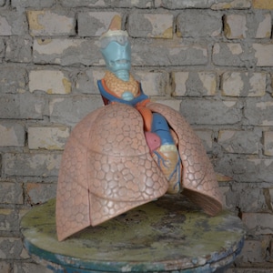 Human Lungs & Heart Anatomy: rare original vintage 1960s German university educational anatomical model medical school organs curiosity