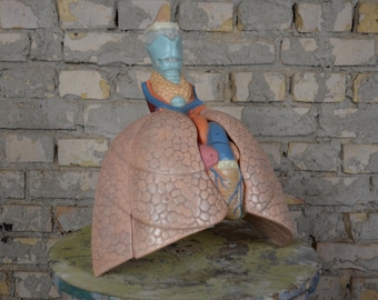 Human Lungs & Heart Anatomy: rare original vintage 1960s German university educational anatomical model medical school organs curiosity