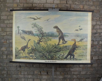Cretaceous Dinosaurs: original vintage 1950s German educational poster school wall chart antique print natural history Fossils Triceratops