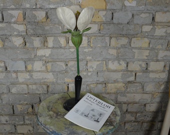 Cherry Blossom, exceptional antique botanical model: original 1920s Osterloh German school educational teaching classroom plant flower petal