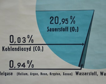 Breathing air gases: original vintage 1960s German Medical educational poster school wall chart print mid century illustration nitrogen