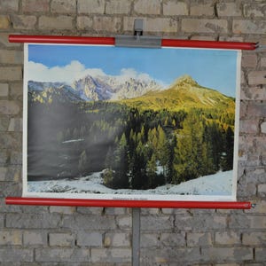 Waldgrenze in den Alpen: 1970s Lehrtafel Schulwandkarte, Roll Poster, Schulposter, Baumgrenze, 1970er Jahre