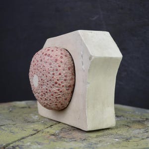 Puede incluir: Una escultura decorativa con una concha de erizo de mar rosa texturizada, colocada dentro de un marco geométrico beige claro. La escultura se exhibe sobre una superficie desgastada de tonos verdes, sobre un fondo oscuro.